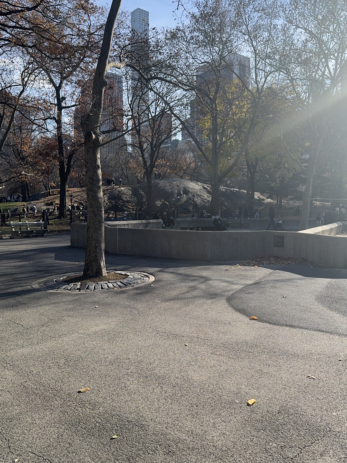 Adventure Playground - Photo 5