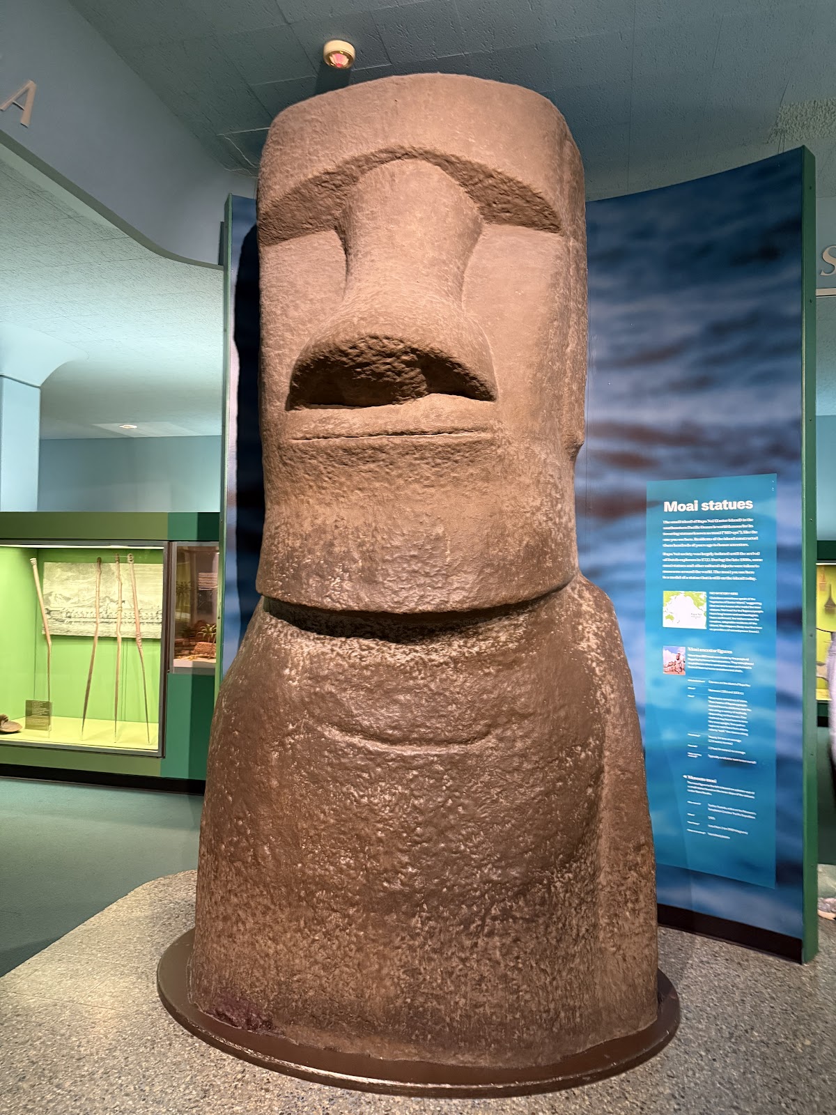 American Museum of Natural History - Photo 7