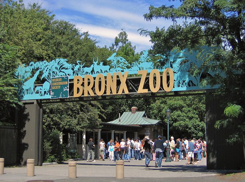 Bronx Zoo - Photo 1