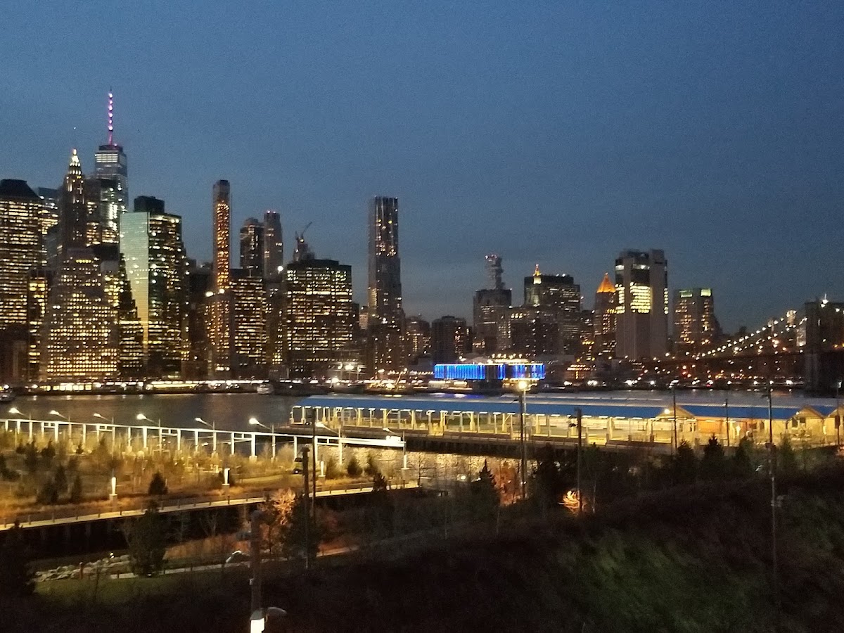 Brooklyn Heights Promenade - Photo 1