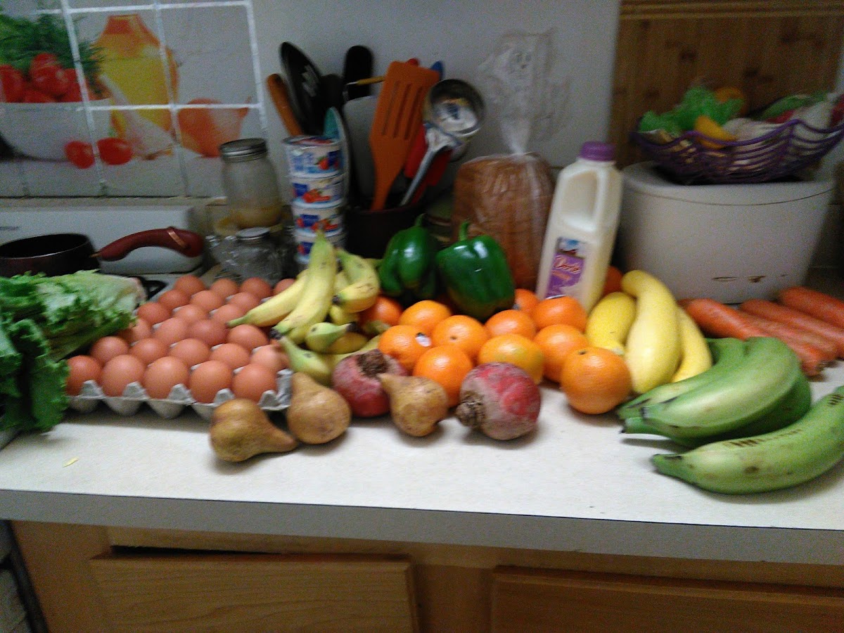 Community Kitchen - Photo 5