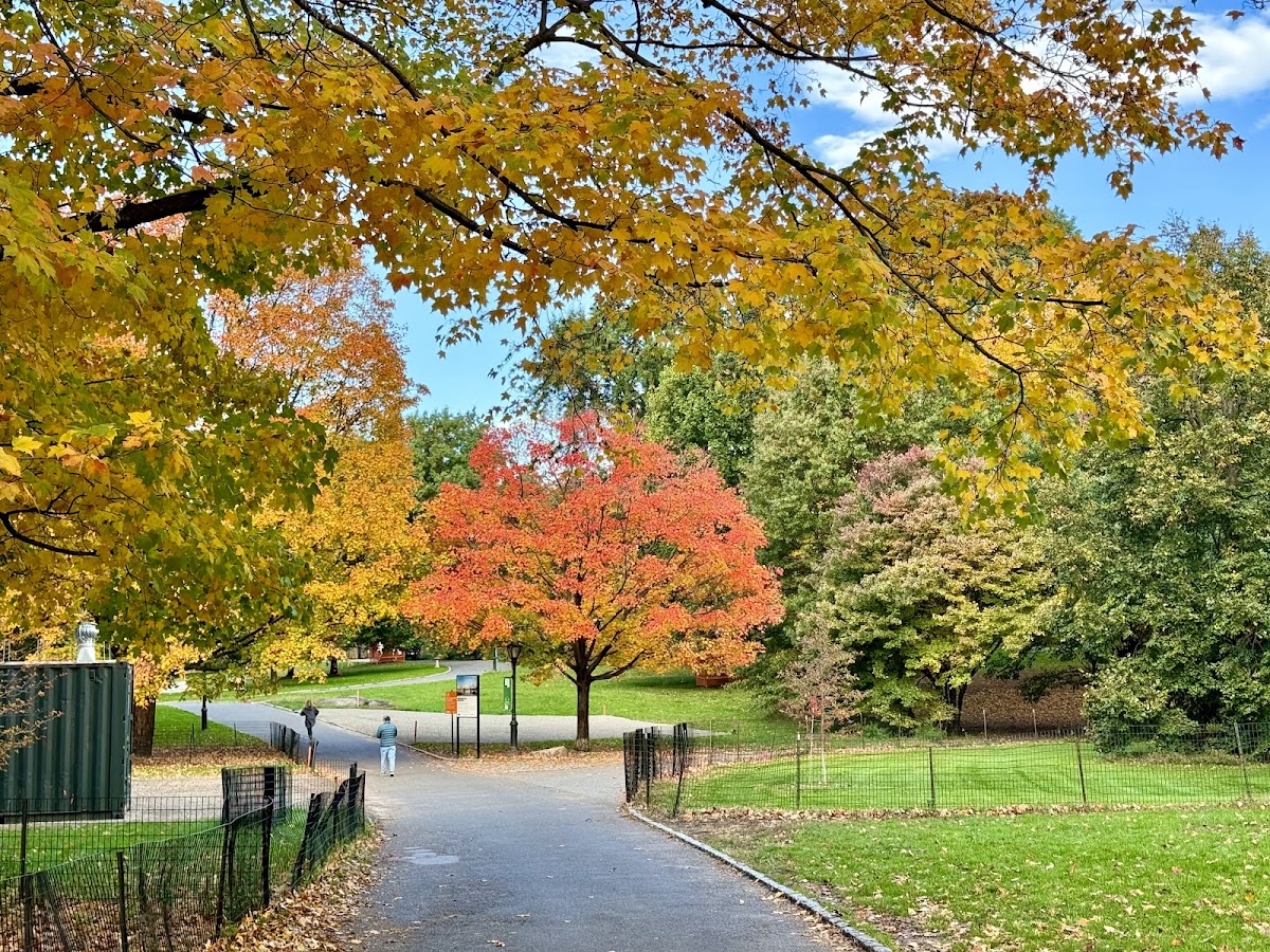 East Meadow - Photo 2