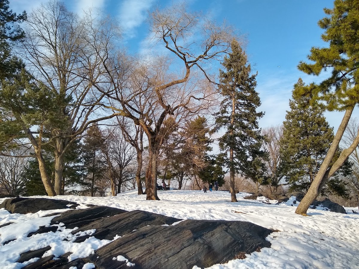 East Meadow - Photo 3
