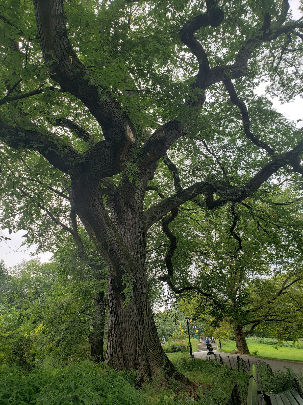 East Meadow - Photo 5