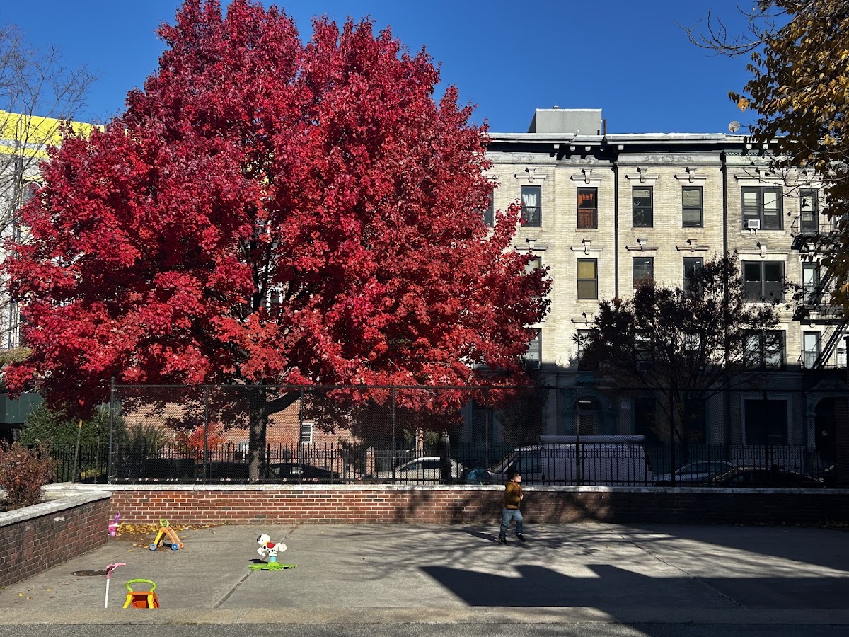 James Forten Playground - Photo 2