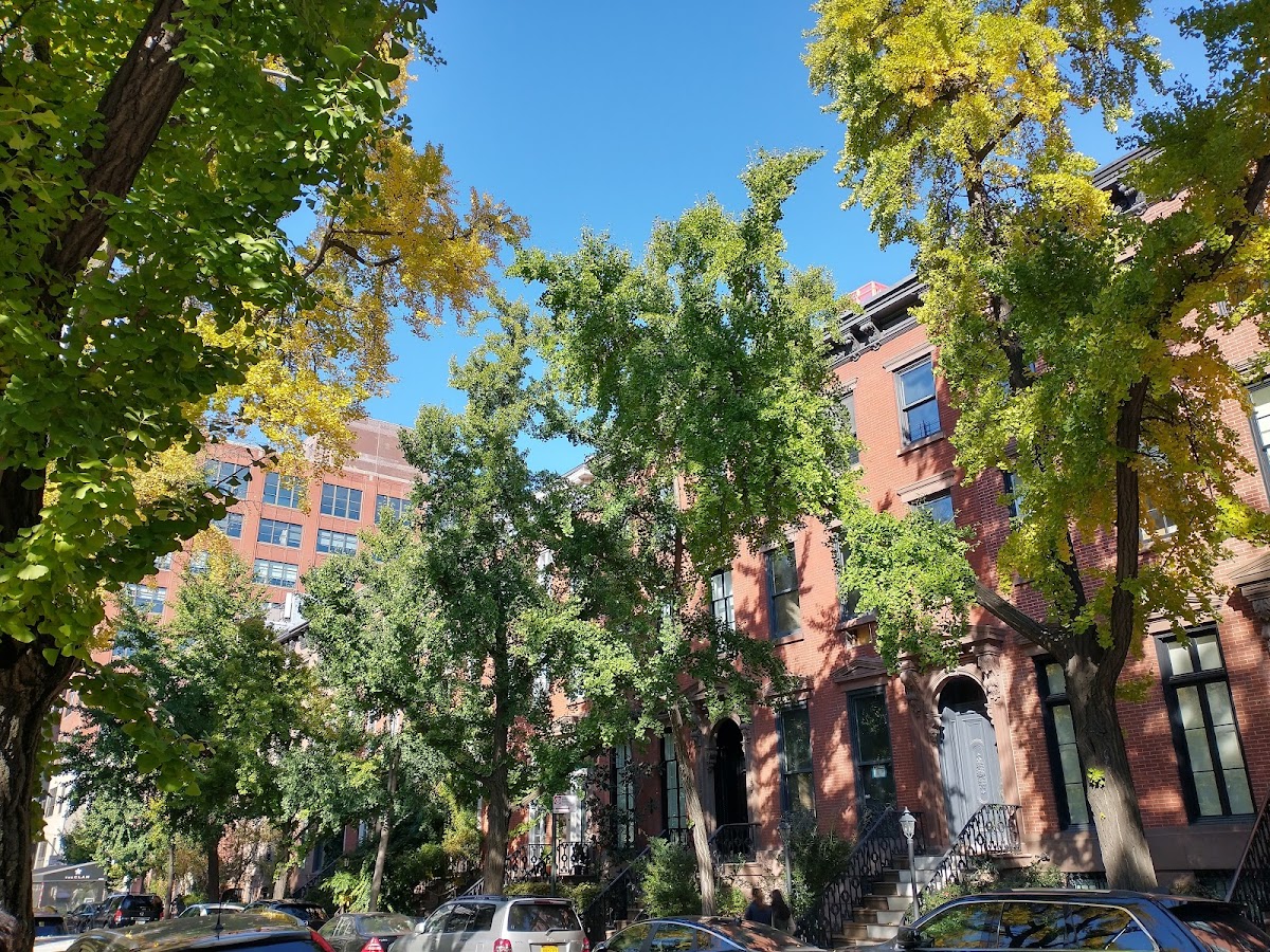 James J Walker Park - Photo 4