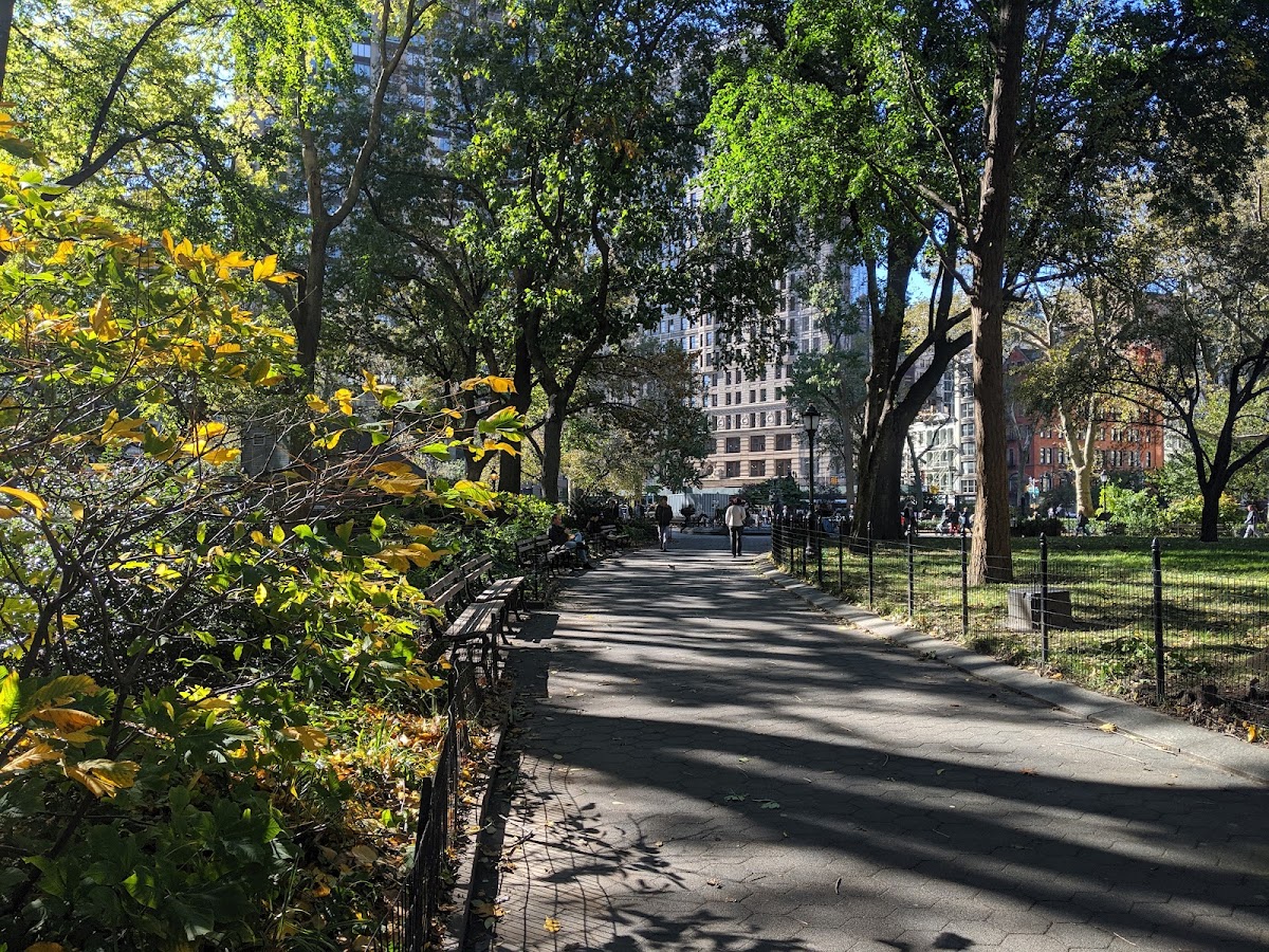 Madison Square Park - Photo 3