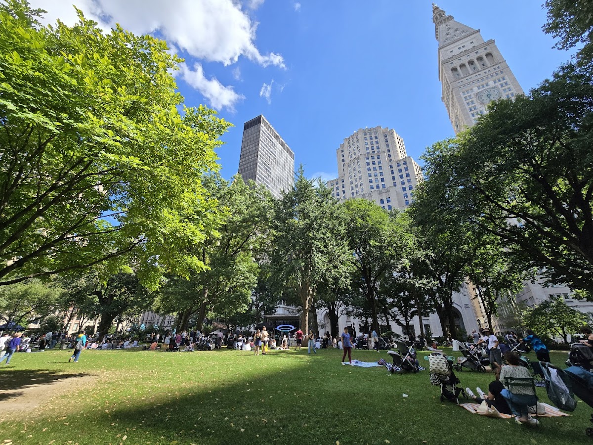 Madison Square Park - Photo 5
