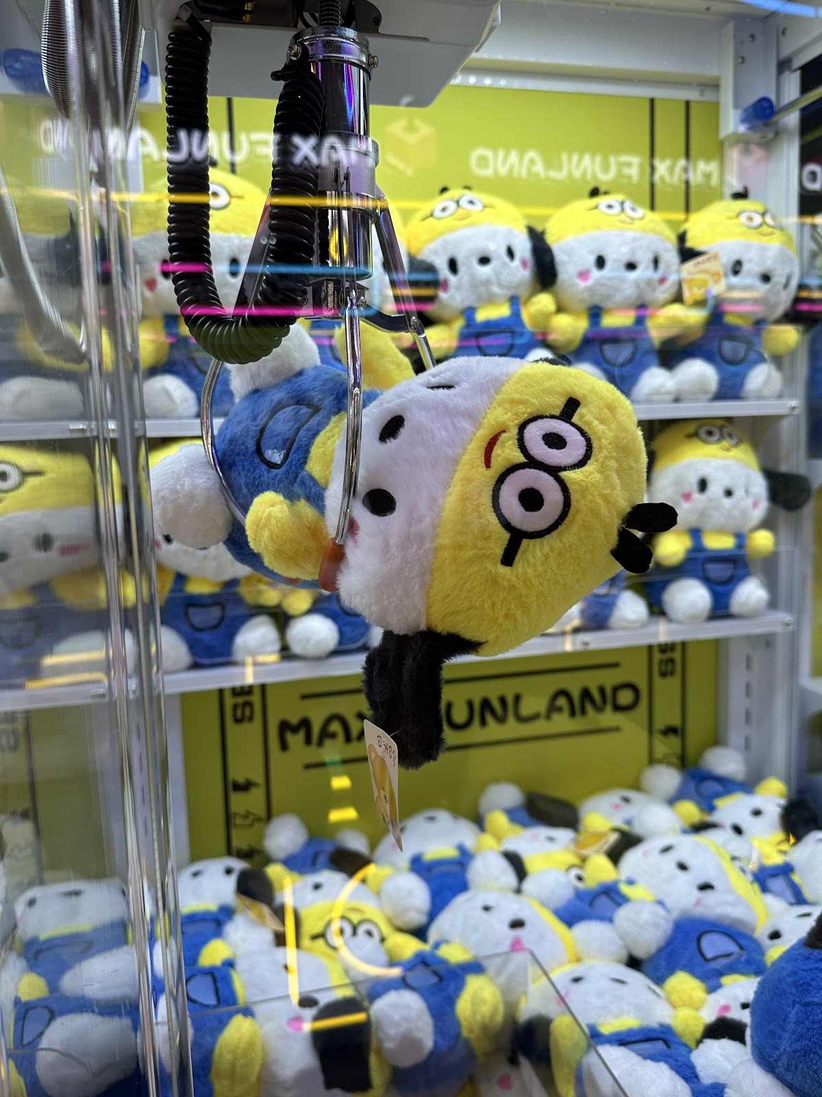 Max Funland - Photo 8