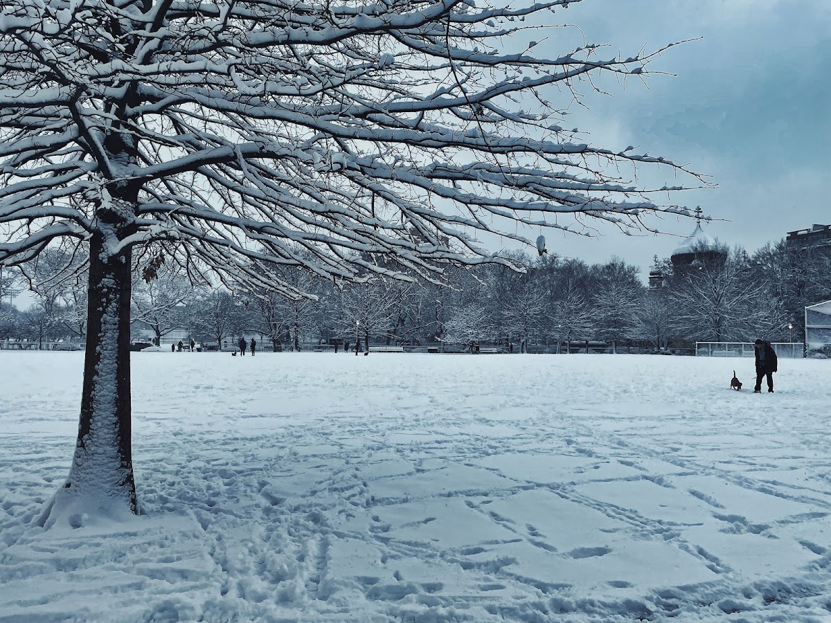 McCarren Park - Photo 4