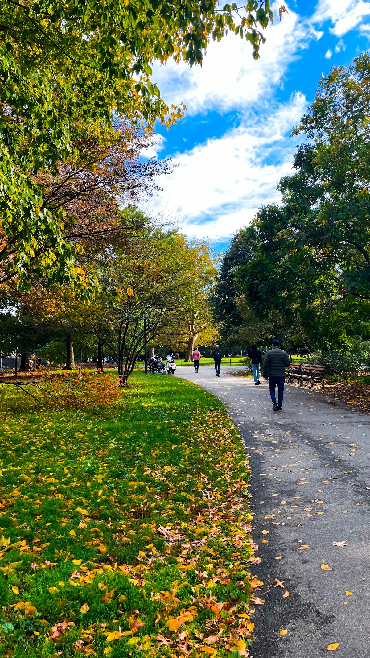McCarren Park - Photo 7