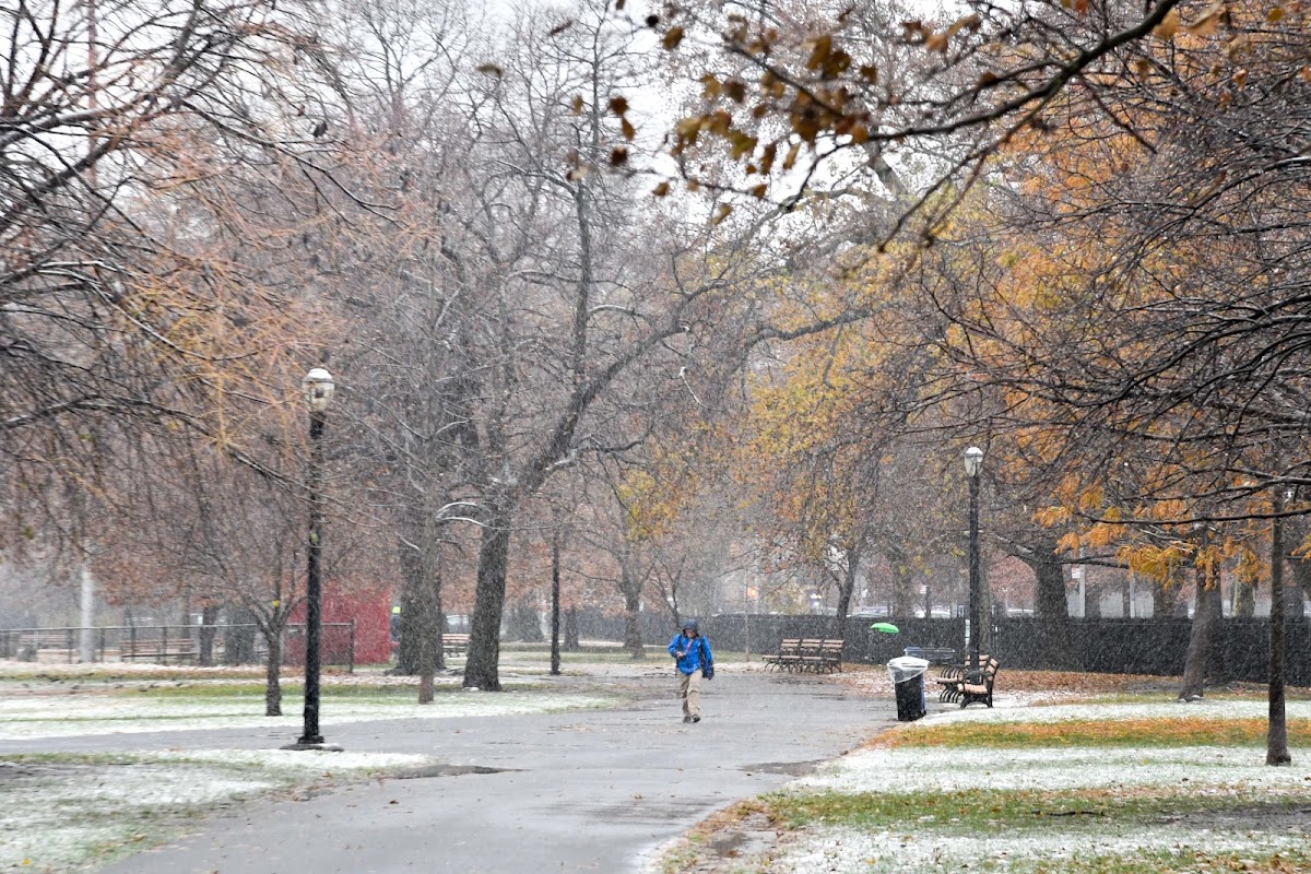 McCarren Park - Photo 10
