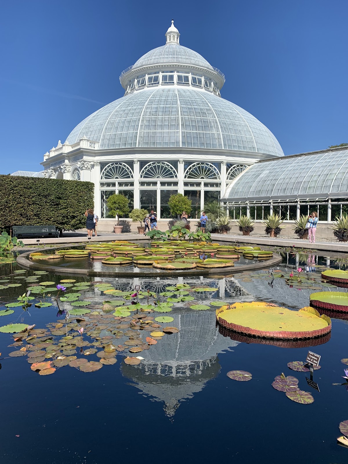 New York Botanical Garden - Photo 1