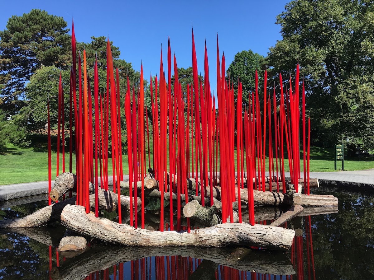 New York Botanical Garden - Photo 5