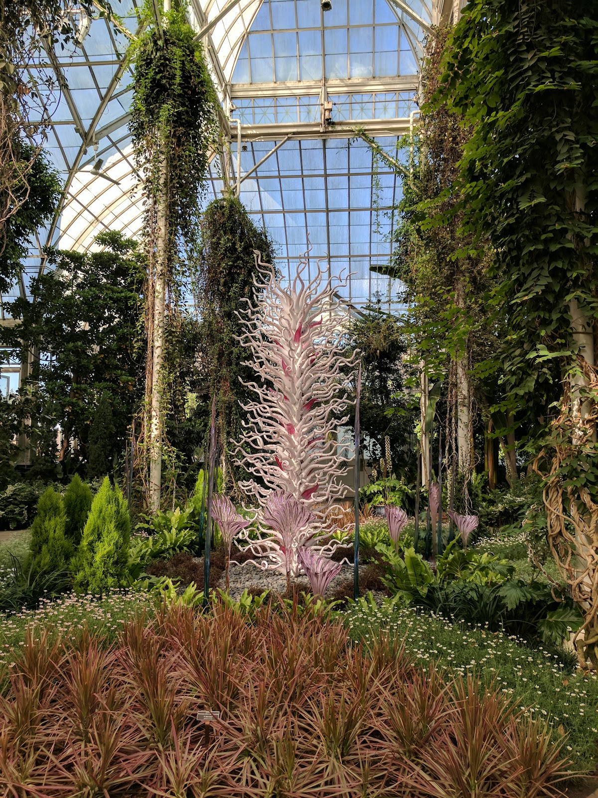 New York Botanical Garden - Photo 9