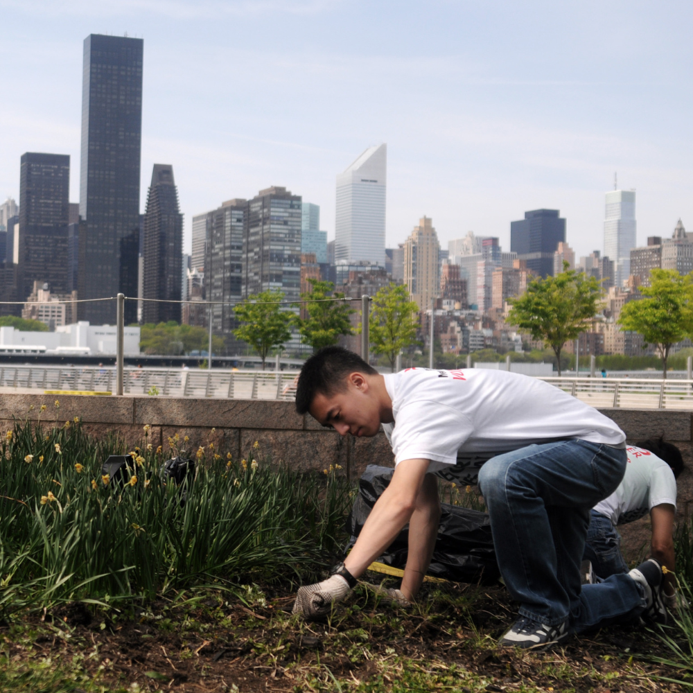 New York Cares - Photo 4