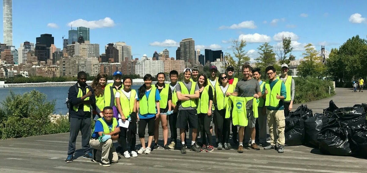 New York Cares - Photo 5