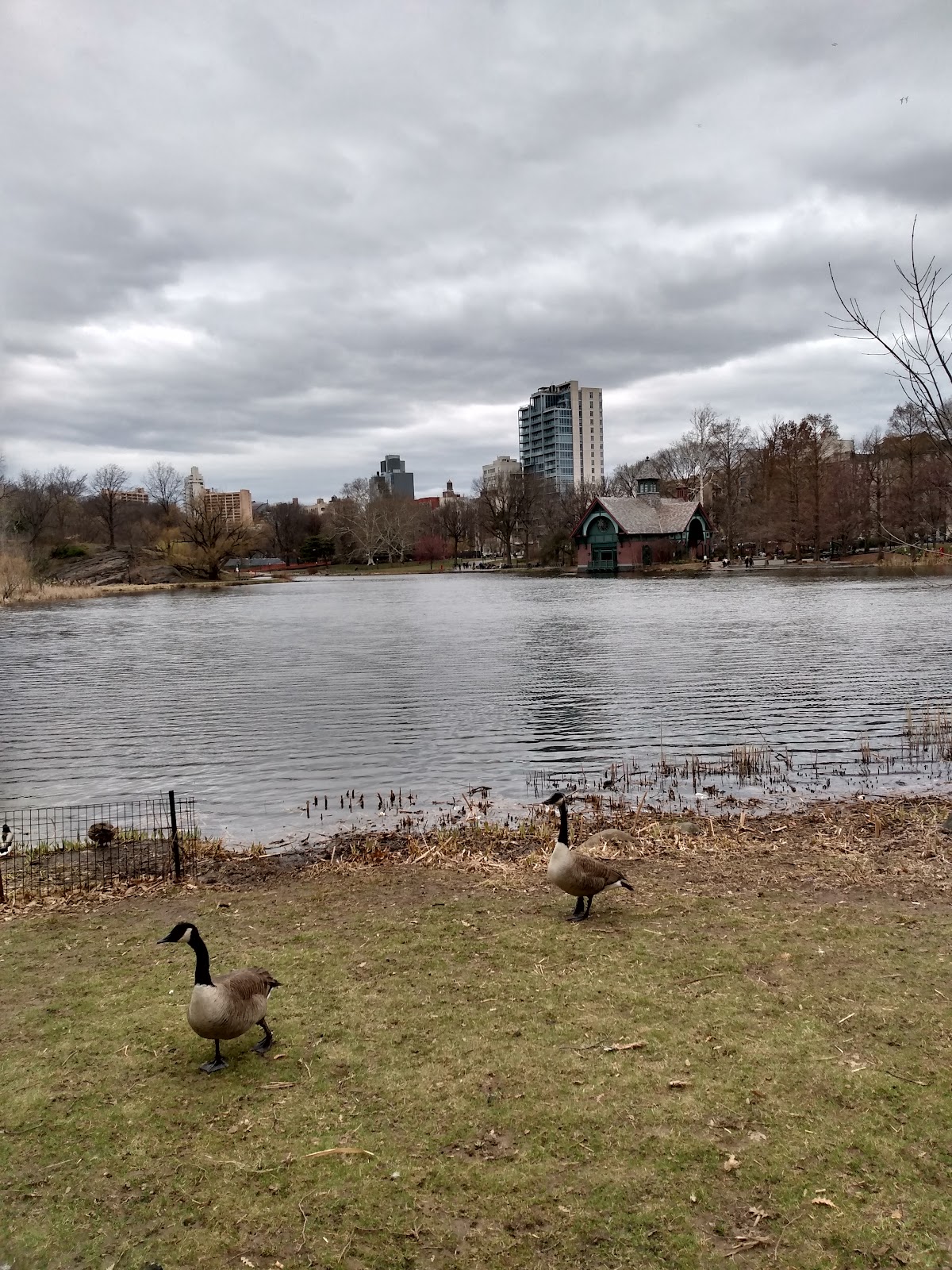 New York Common Pantry - Photo 5
