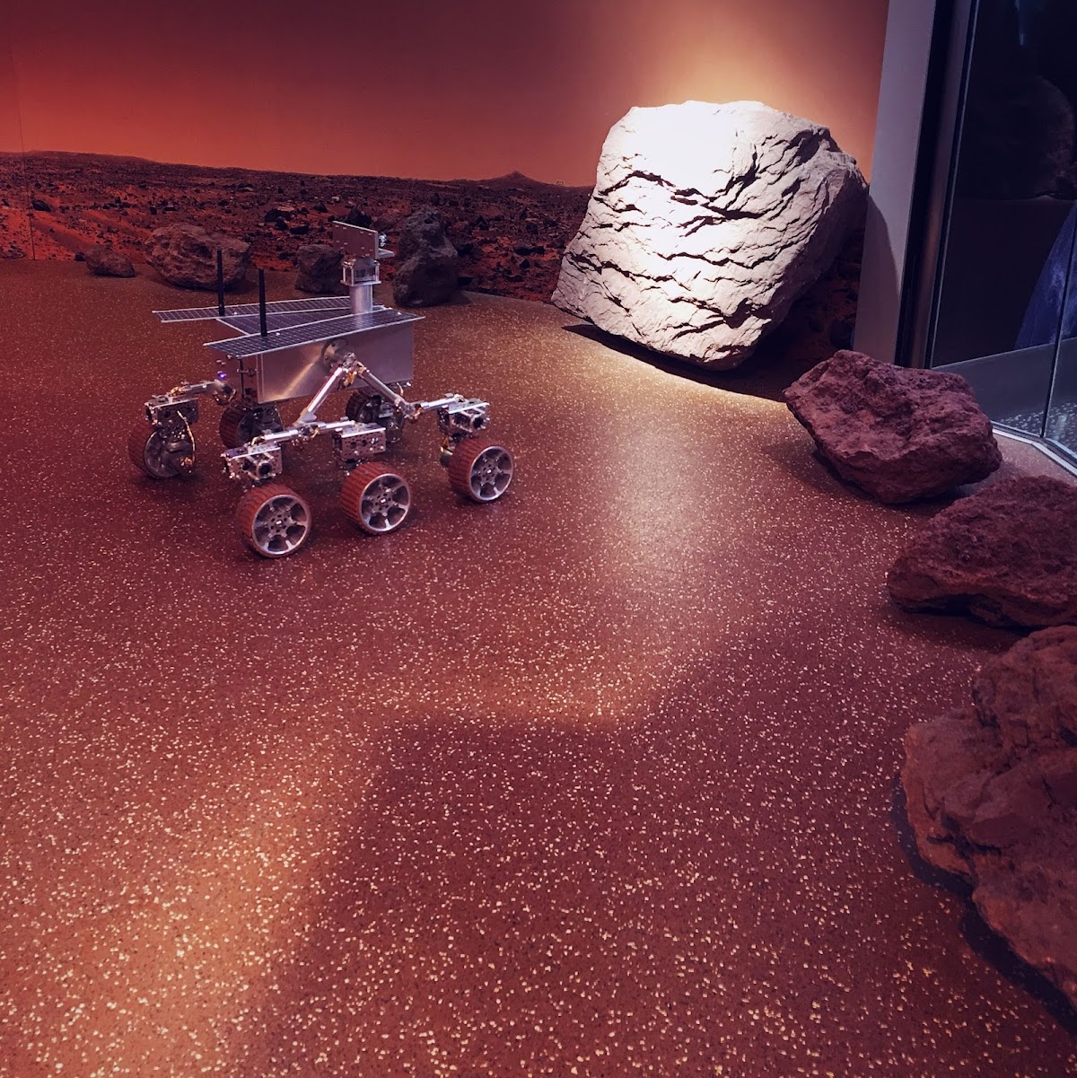 New York Hall of Science - Photo 10