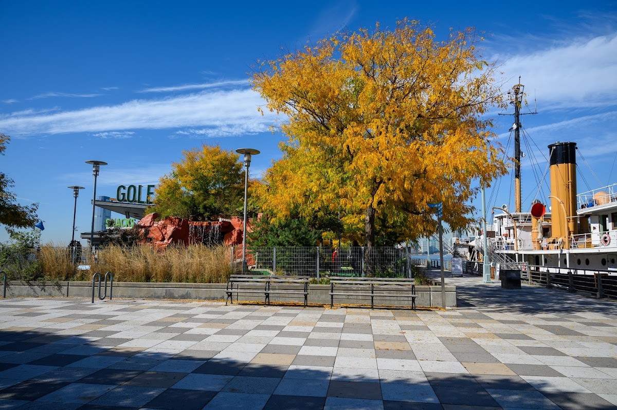 Pier 25 Playground - Photo 5