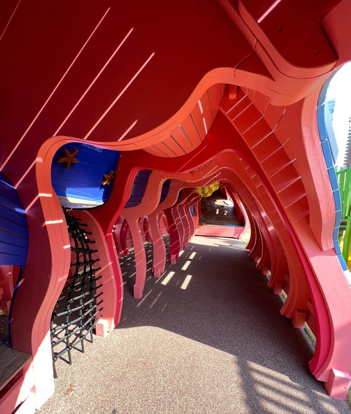 Pier 26 Science Playground - Photo 6