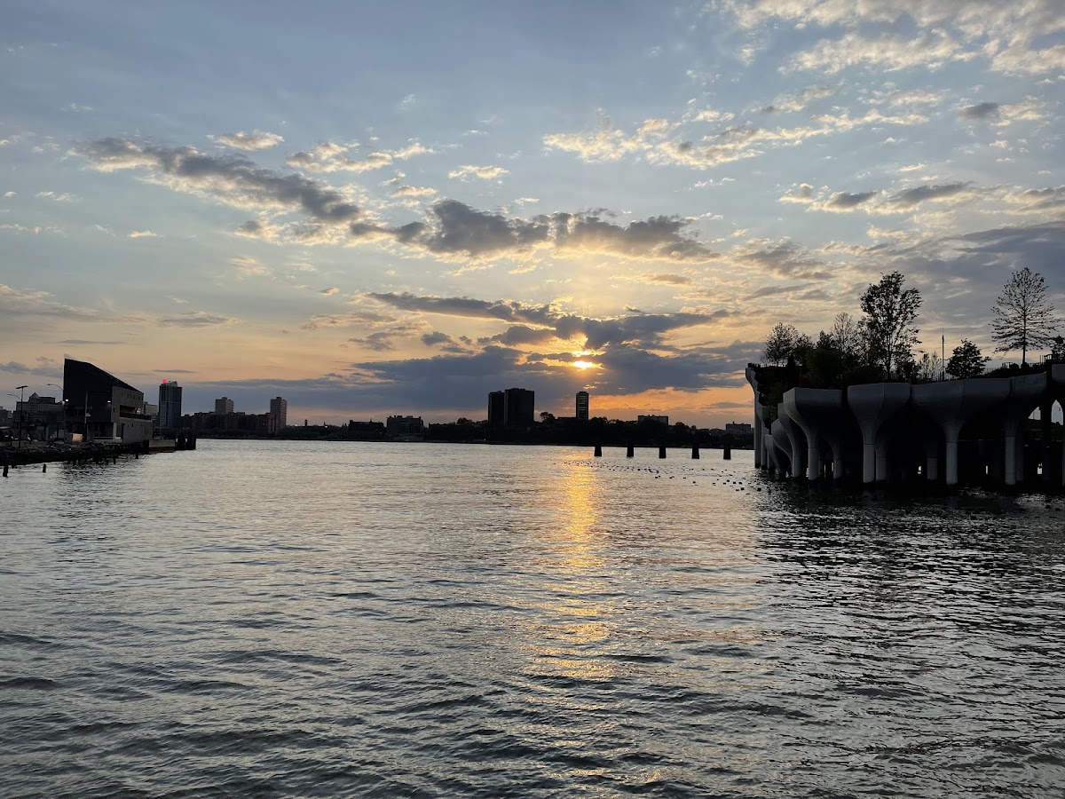 Pier 51 at Hudson River Park - Photo 3