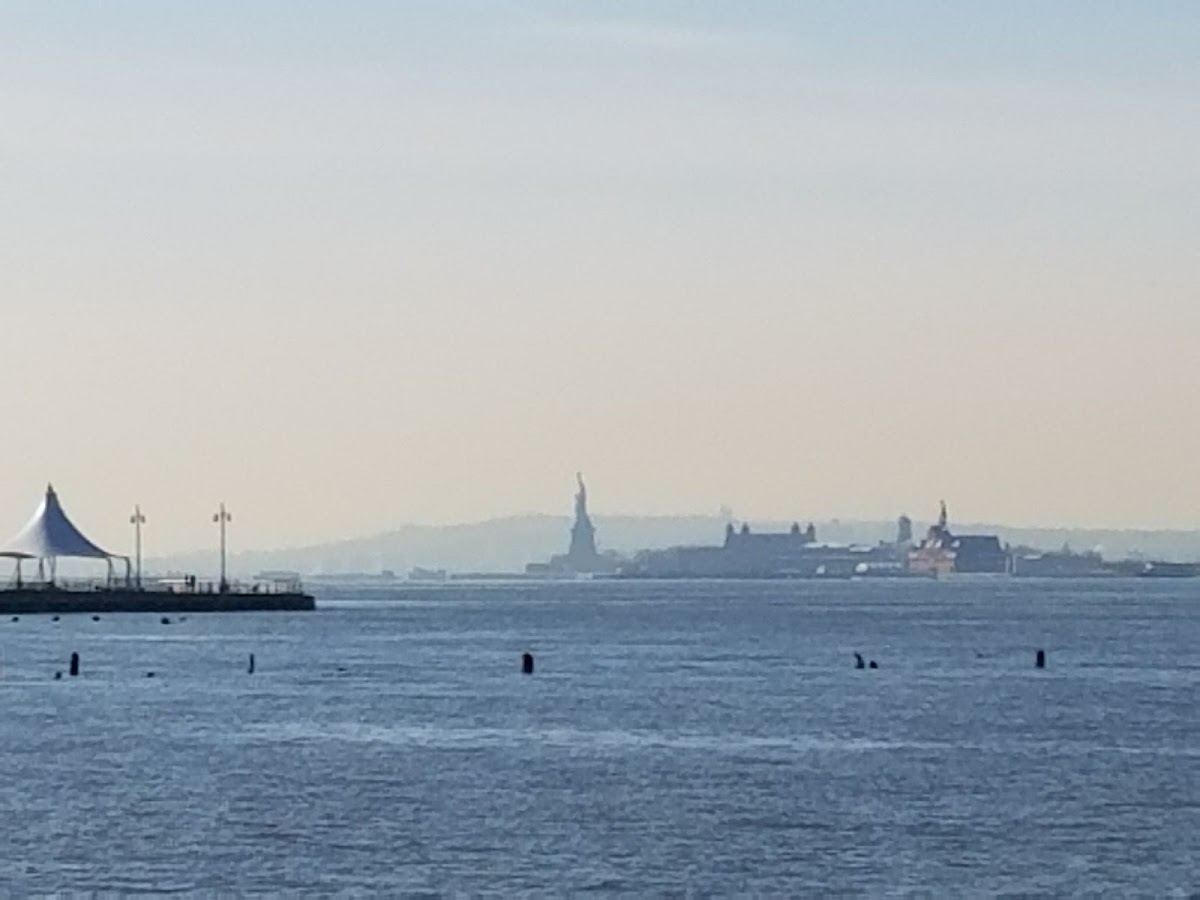 Pier 51 at Hudson River Park - Photo 4