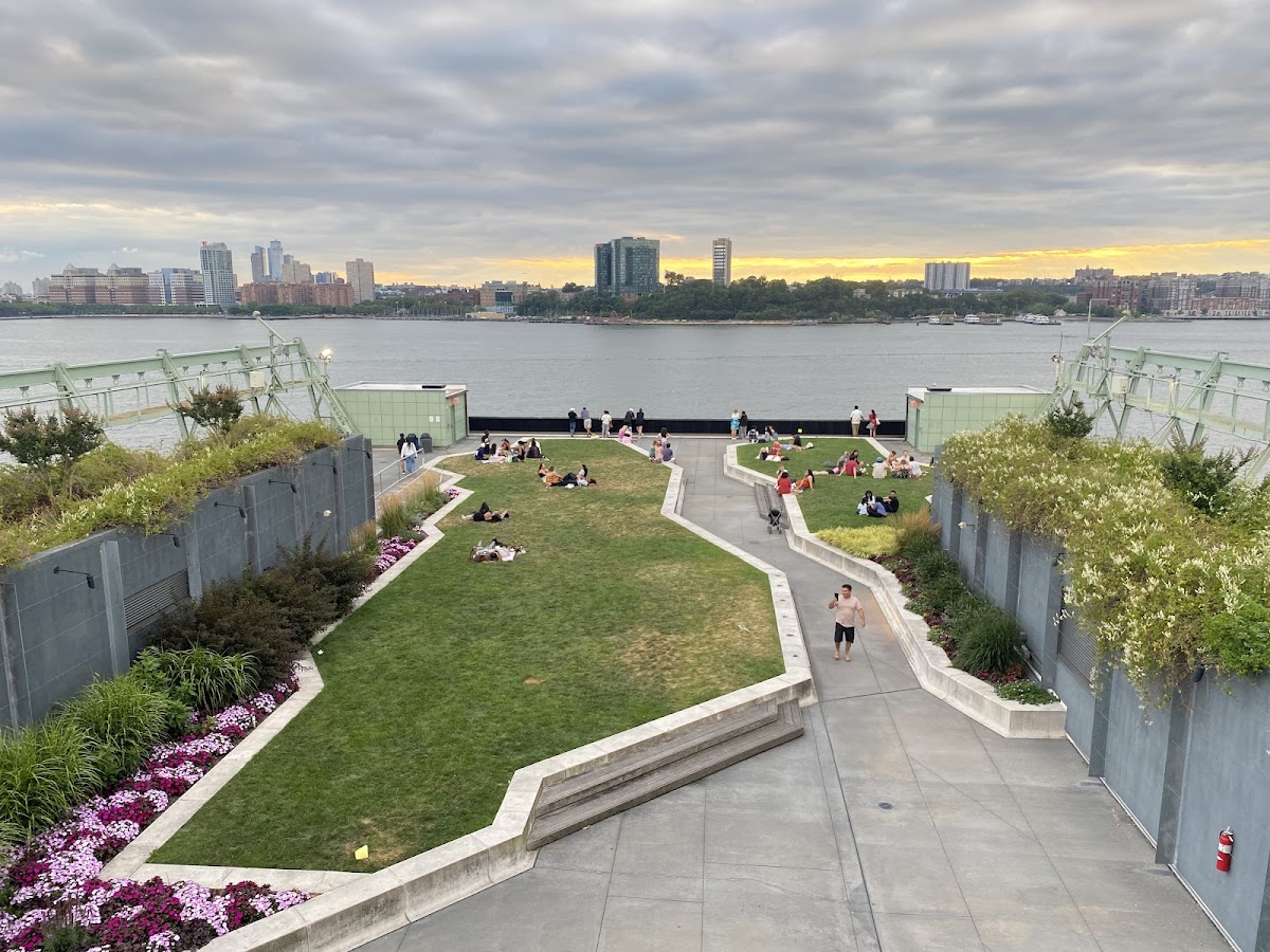 Pier 57 Rooftop Park - Photo 3