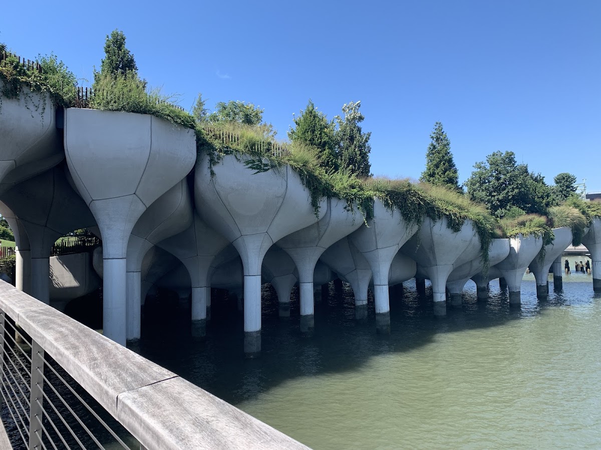 Pier 57 Rooftop Park - Photo 5