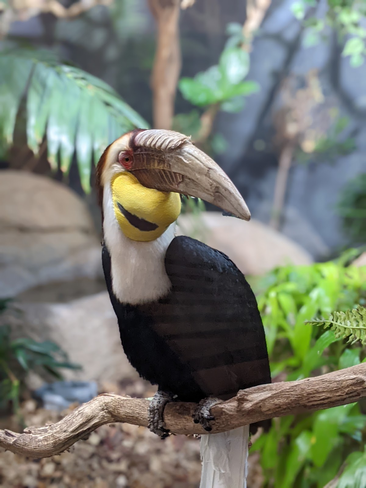 Prospect Park Zoo - Photo 3