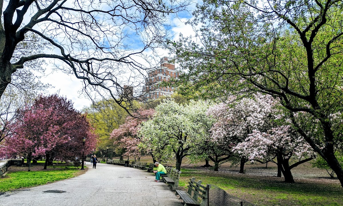 Riverside Park - Photo 2