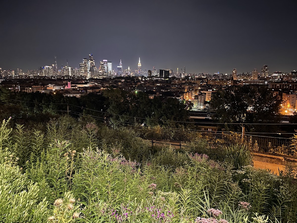 Riverview-Fisk Park - Photo 3