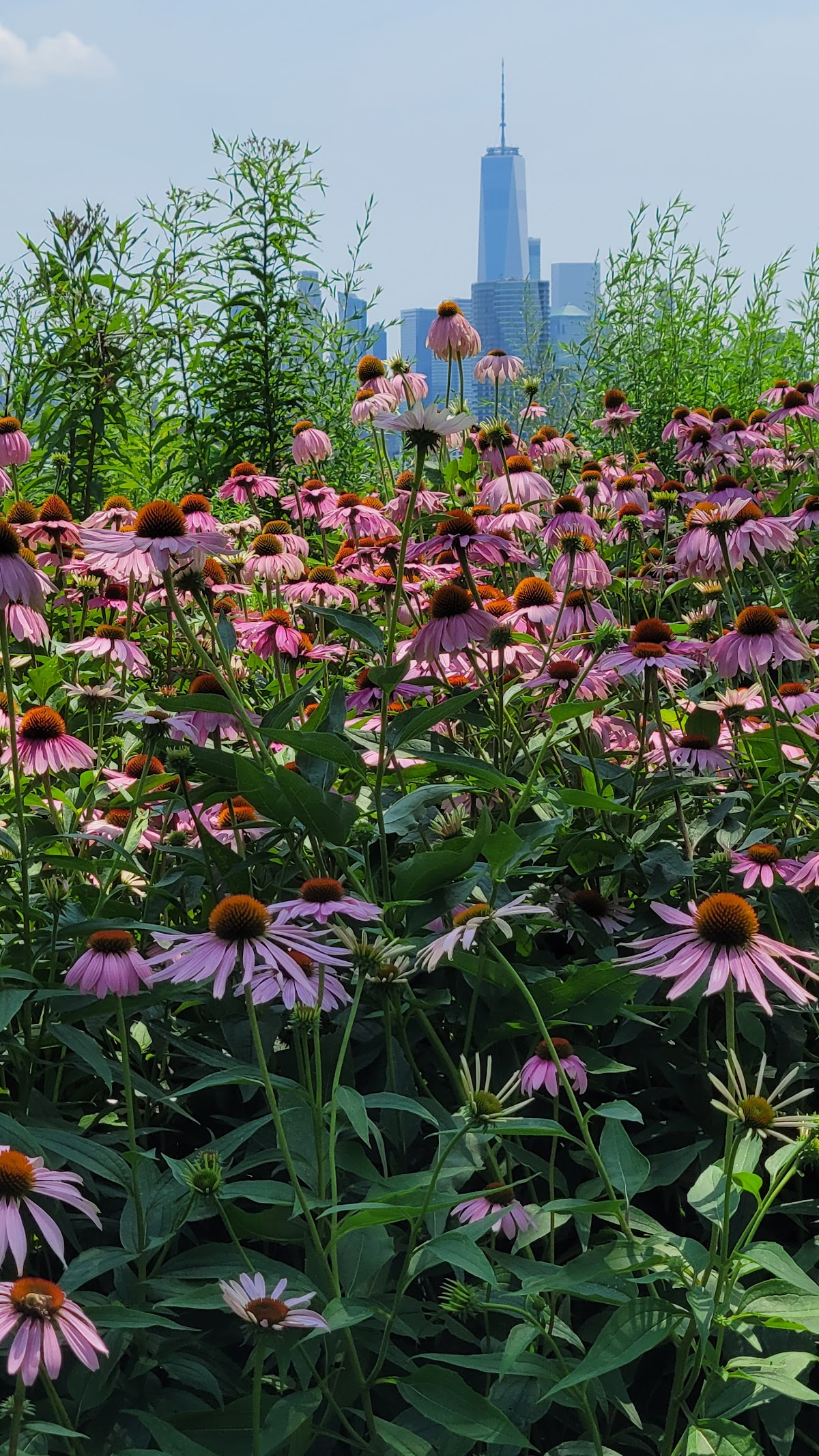 Riverview-Fisk Park - Photo 5