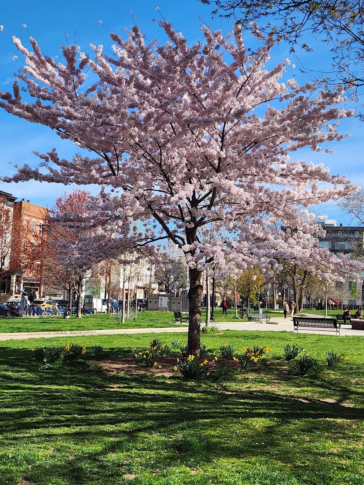 Riverview-Fisk Park - Photo 10