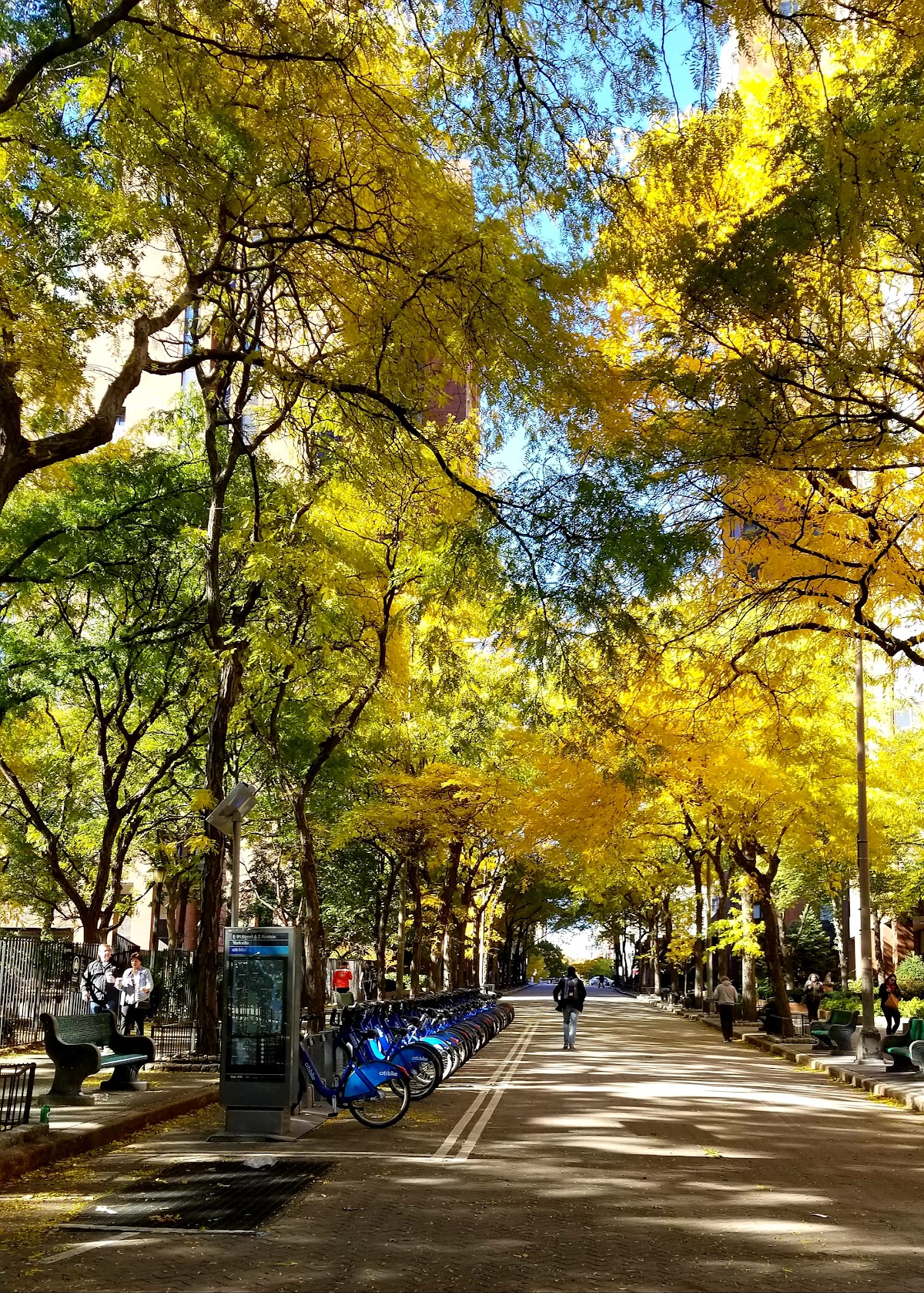 Ruppert Park - Photo 5