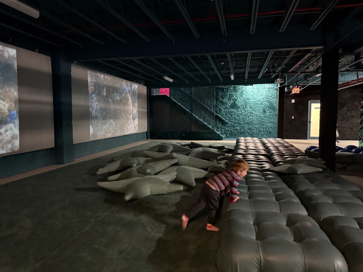 Space Club Fort Greene - Photo 5