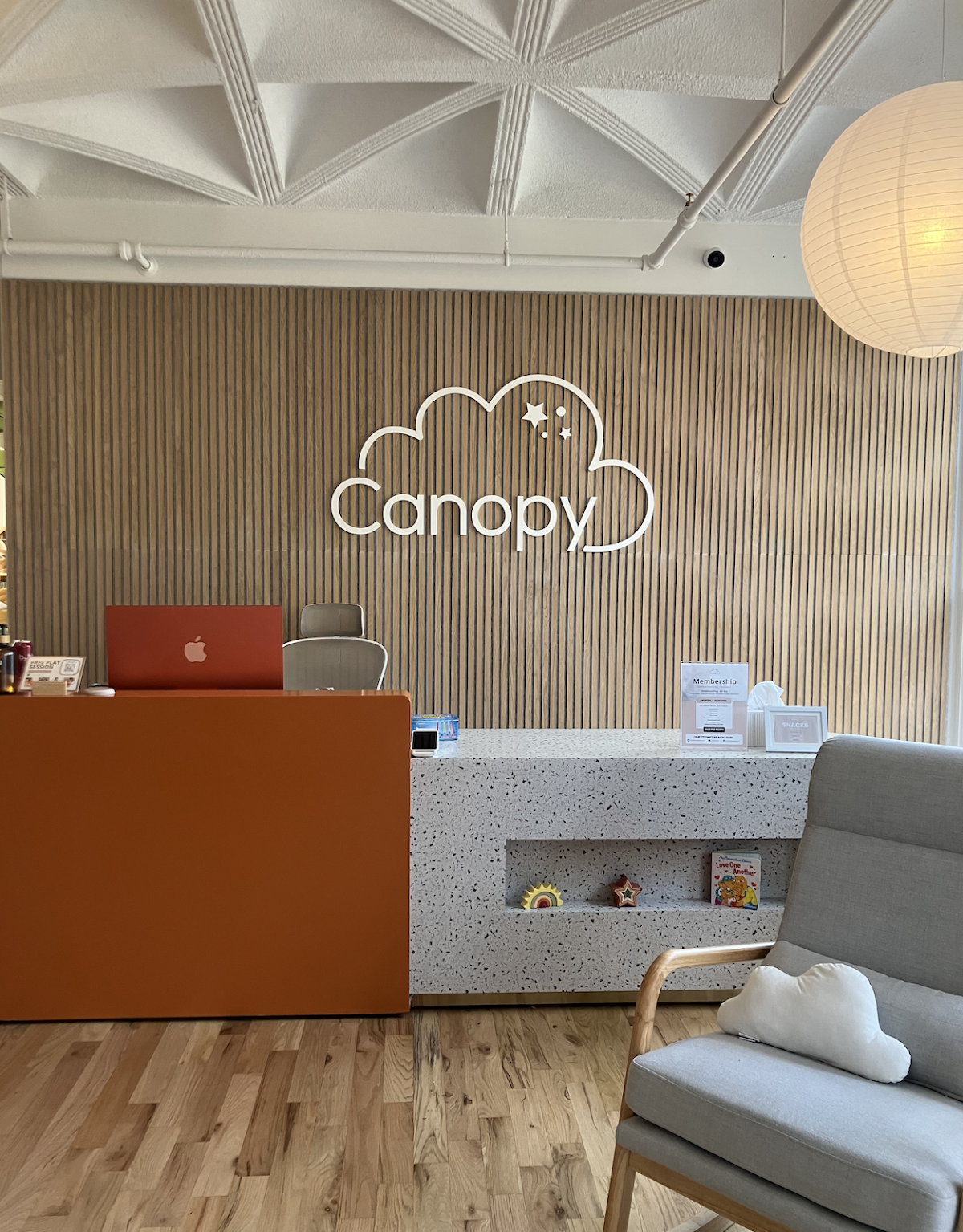 The Canopy NYC - Photo 7