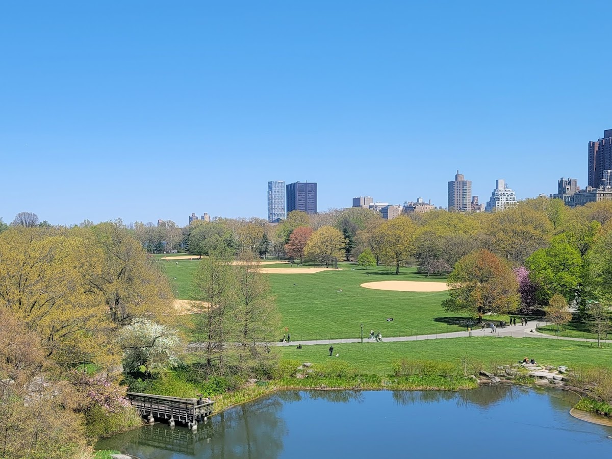 The Great Lawn - Photo 2