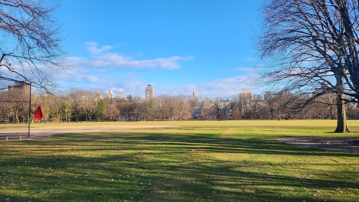 The Great Lawn - Photo 3