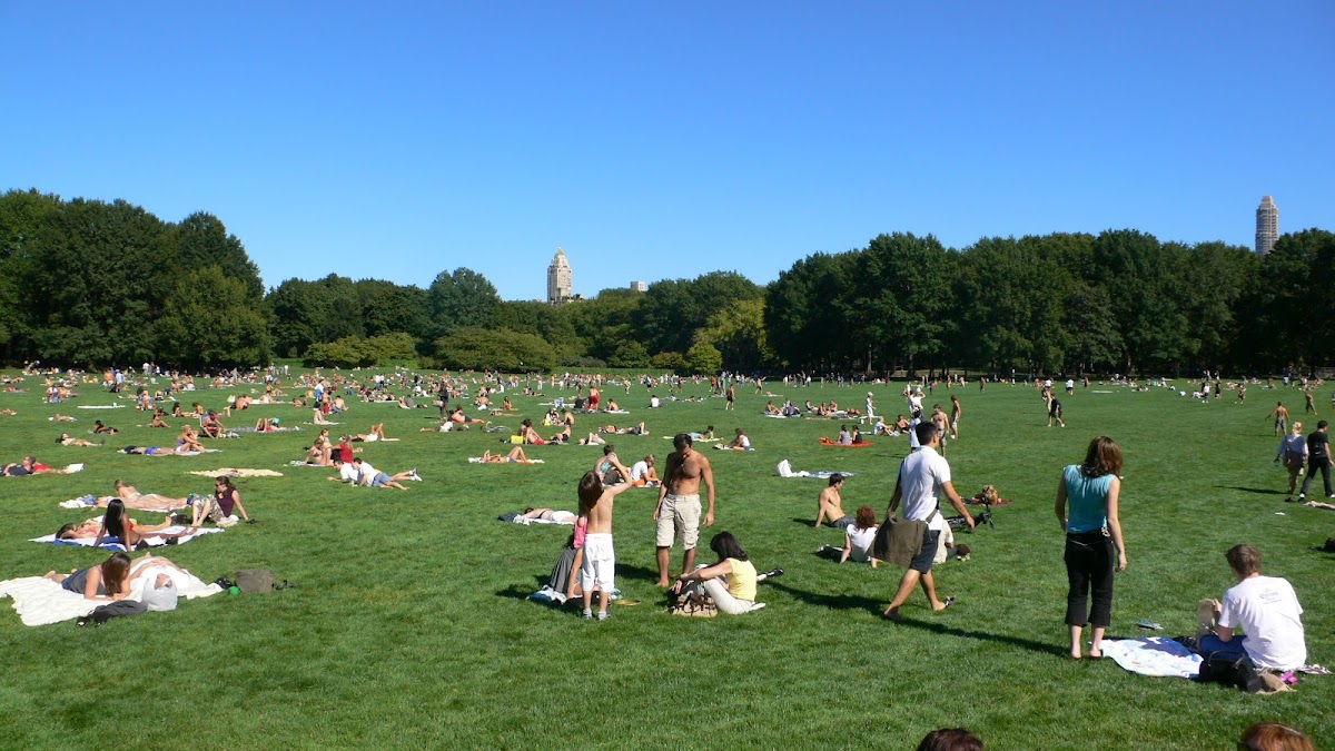 The Great Lawn - Photo 4