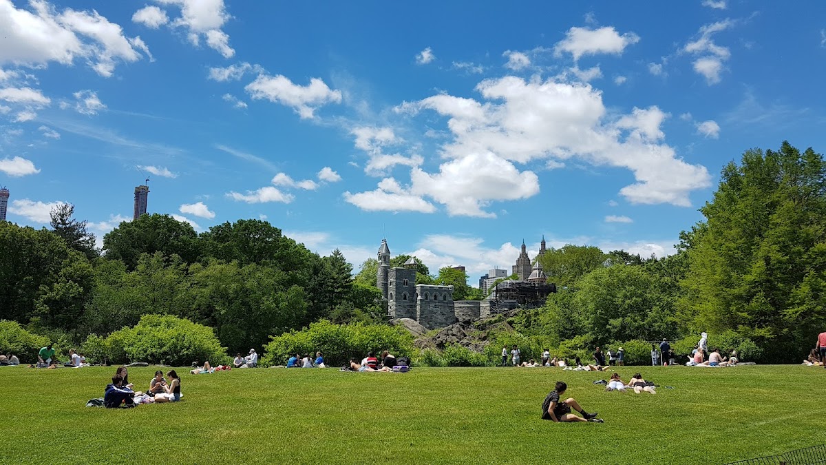 The Great Lawn - Photo 5
