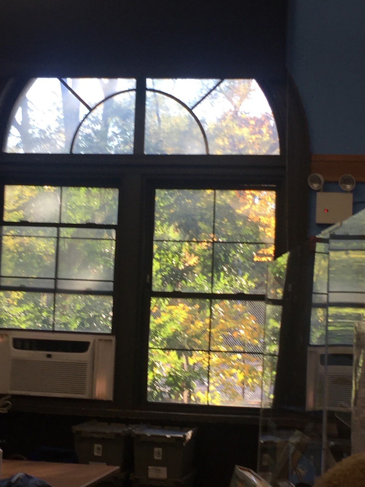 Tompkins Square Library - Photo 5