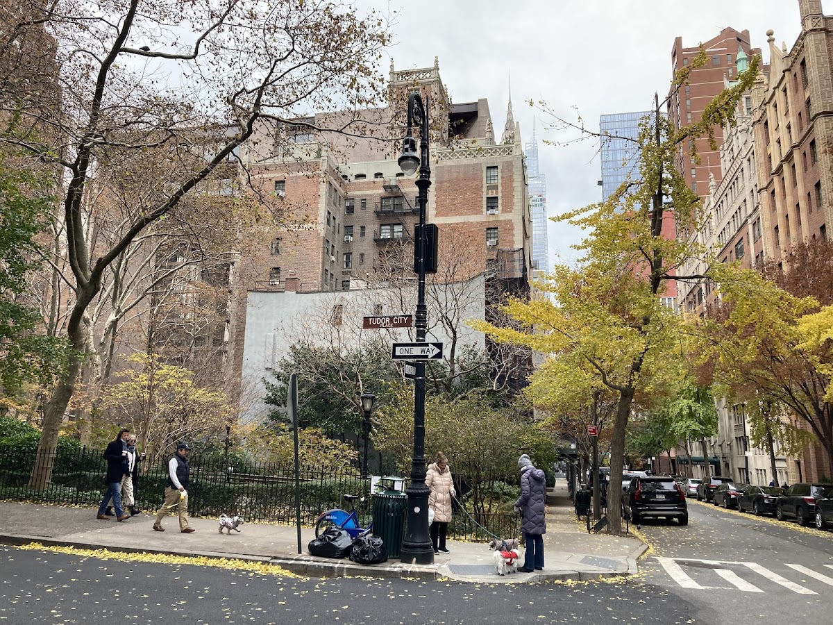 Tudor City Greens - Photo 3