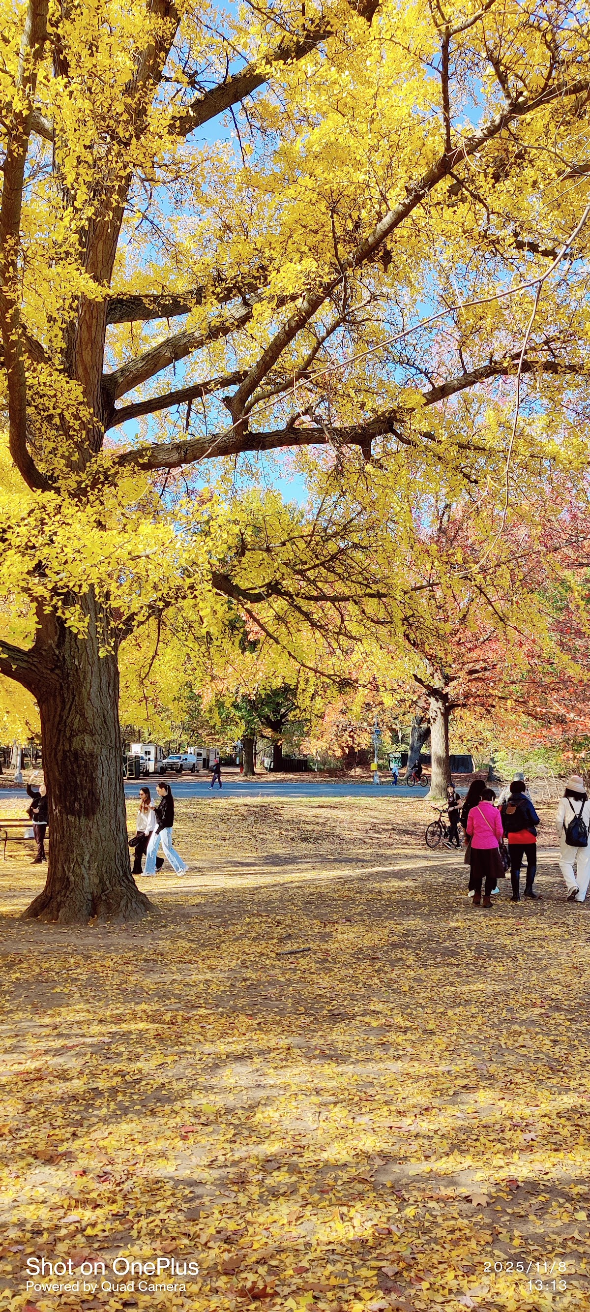 Vanderbilt Playground - Photo 5