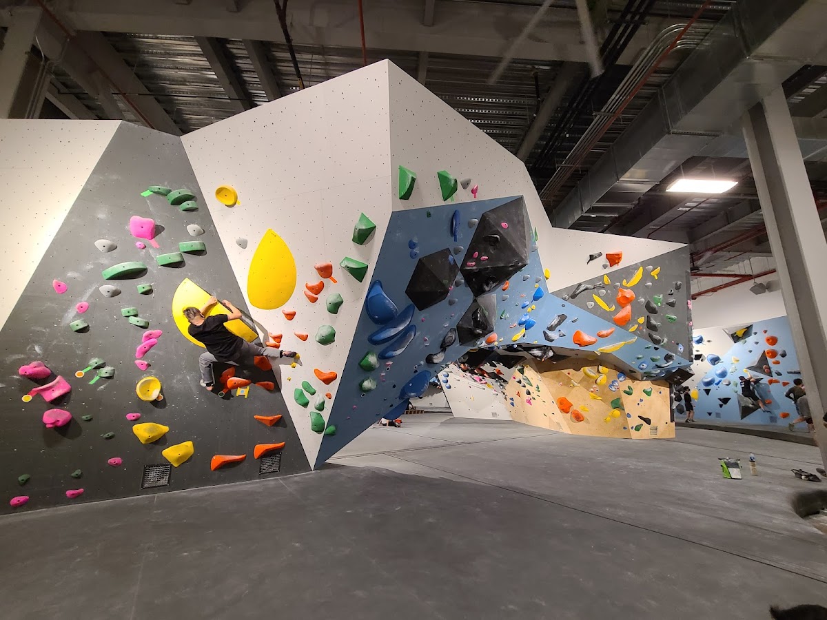 VITAL Climbing Gym - Brooklyn - Photo 2