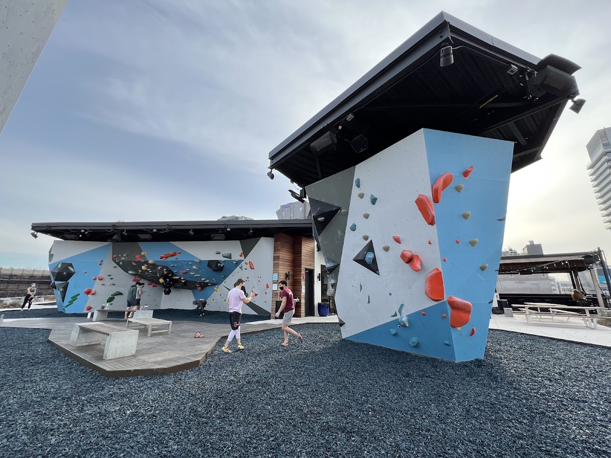 VITAL Climbing Gym - Brooklyn - Photo 4