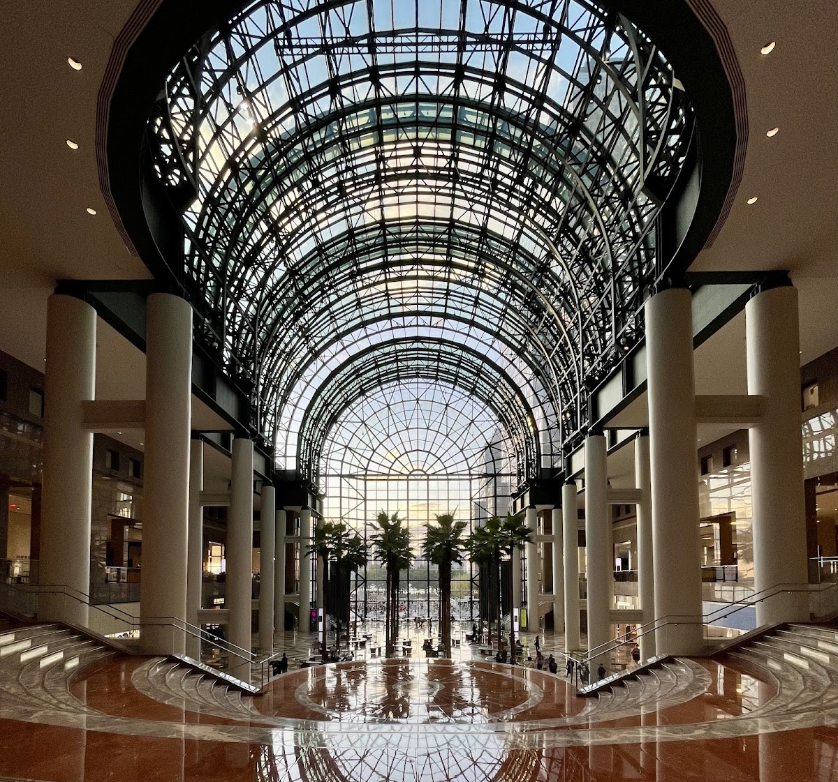 Winter Garden - Photo 1