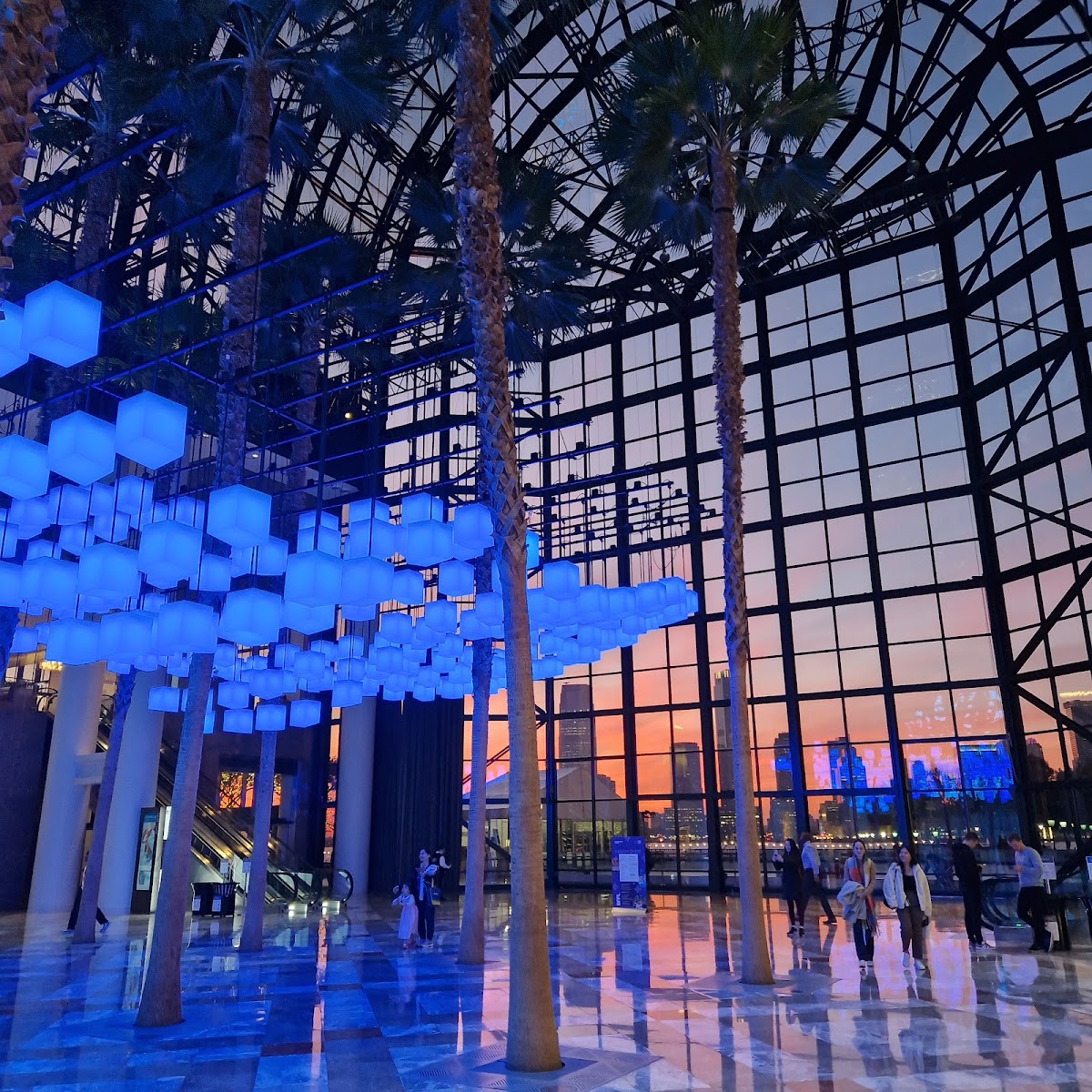 Winter Garden - Photo 2