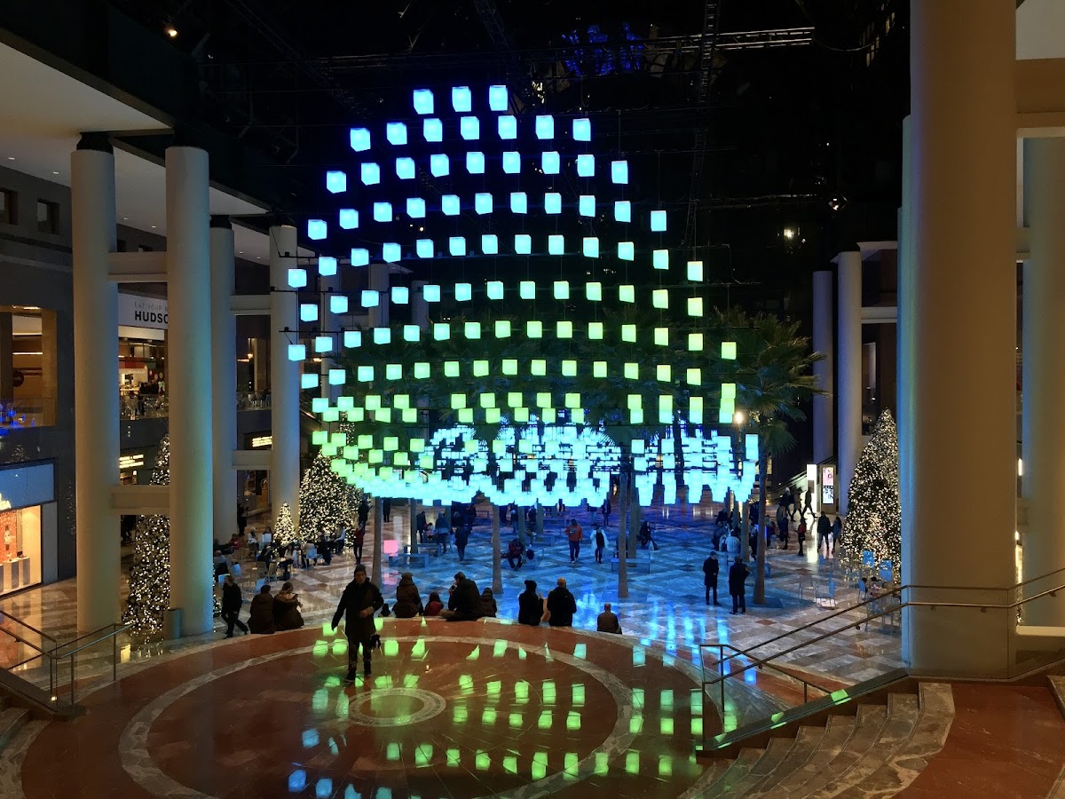 Winter Garden - Photo 3