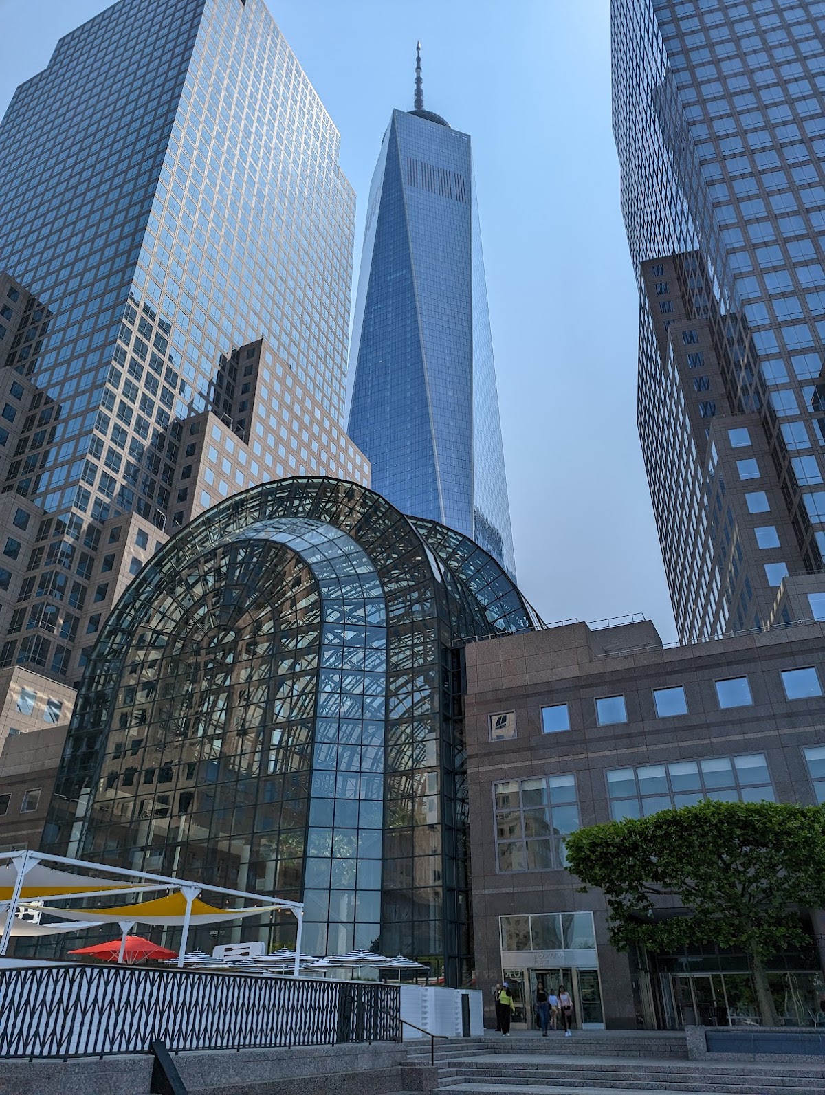 Winter Garden - Photo 5